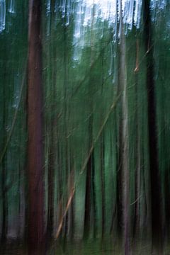Abstracte naaldbomen van Simone Haneveer