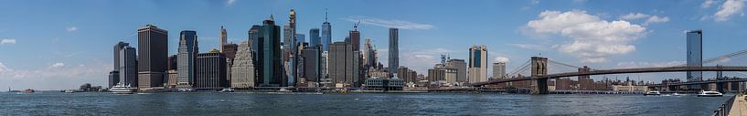Panorama Manhattan van Hans Hoekstra