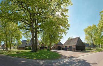 Bauernhäuser entlang der Dorfstraße, Gees, Drenthe, Niederlande von Rene van der Meer