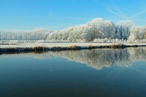 Winters landschap aan de Vecht van Merijn van der Vliet