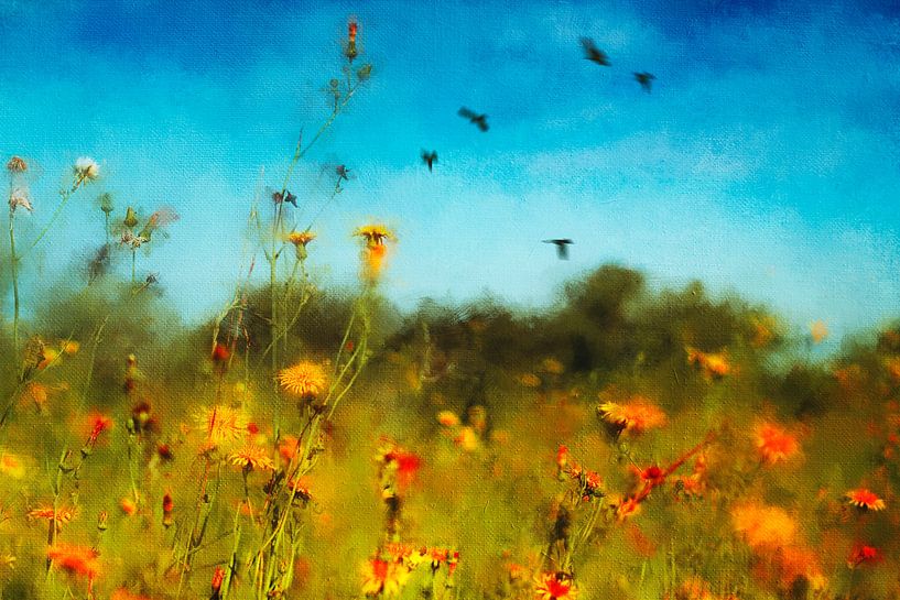 Sommerliche Blumenwiese - Digitale Foto-Malerei von Dirk Wüstenhagen