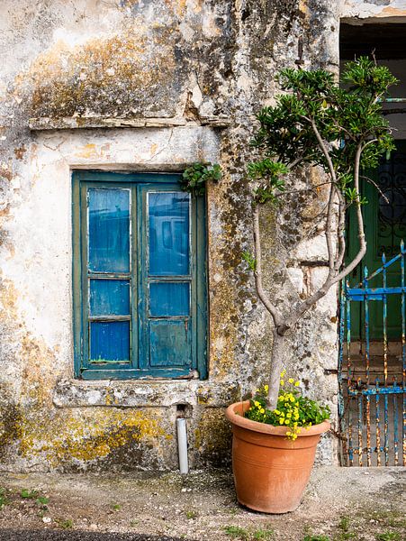 Pot de plante grec par Charlotte Dirkse