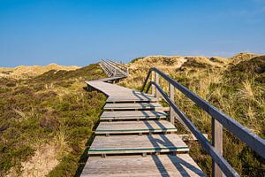 Landschaft in den Dünen bei Norddorf auf der Insel Amrum