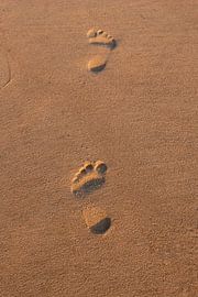 Stap van Marcel van der Voet