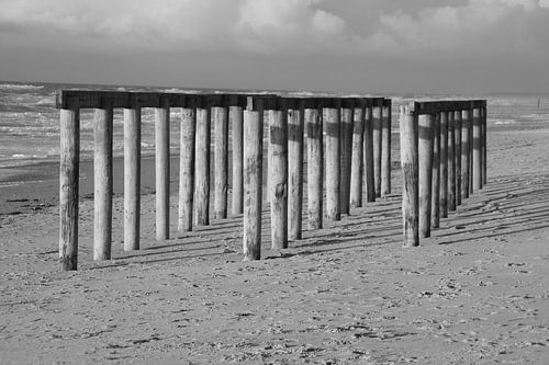 in Reih und Glied am Strand