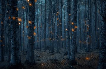 De dansen van de mistige geesten in het herfstbos van fernlichtsicht