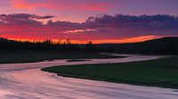 Madison River, Yellowstone NP, Wyoming, USA van Henk Meijer Photography thumbnail