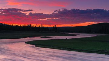 Madison River, Yellowstone NP, Wyoming, USA van Henk Meijer Photography