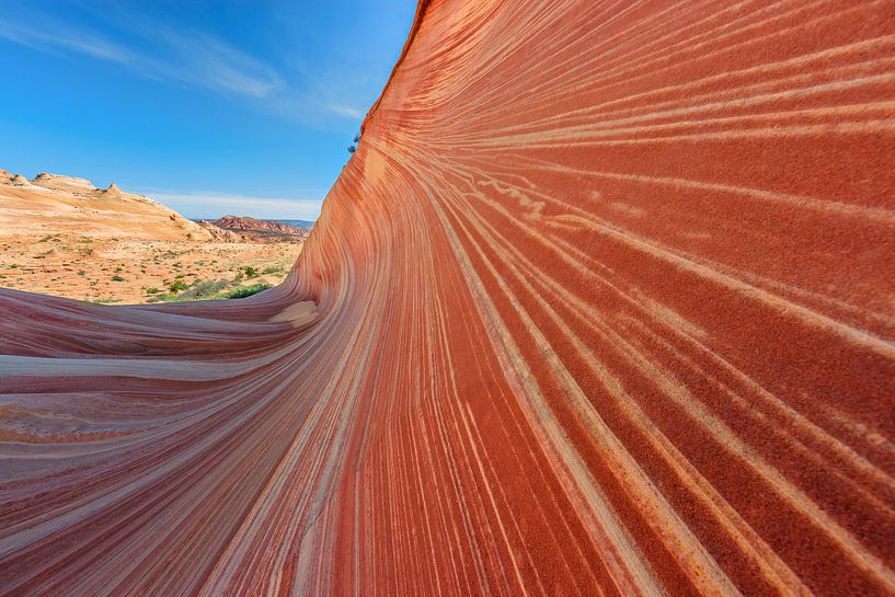 The Wave in de North Coyote Buttes, Arizona van Henk Meijer Photography