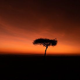 Zonsopkomst in Afrika. van Gunter Nuyts