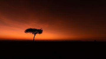 Zonsopkomst in Afrika. van Gunter Nuyts