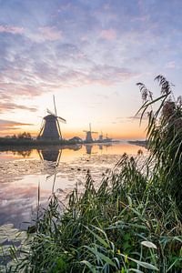 De molens van kinderdijk van Albert Lamme