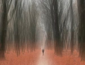 Promenade hivernale