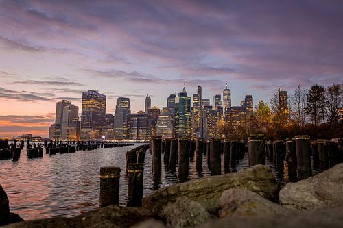 New York skyline Squibb park