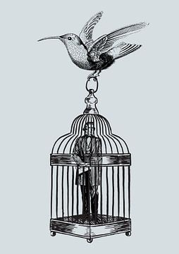 Man in a cage van Fineline