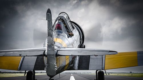 the north american T6 by Frank Peters