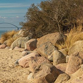 Bridge and rocks by Friedhelm Peters