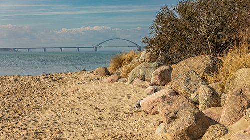 Bridge and rocks