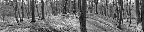 Wandelaar in het beukenbos