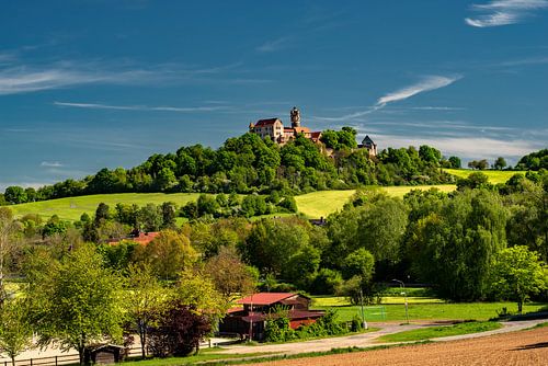 Vue sur le Ronneburg
