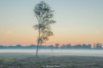 The lone warrior... by Roland's Foto's