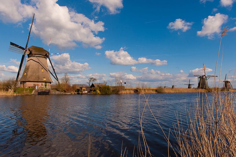 Dutch Kinderdijk World Heritage van Brian Morgan