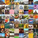 Pays-Bas typiques - collage d'images du pays et de l'histoire par Roger VDB Aperçu
