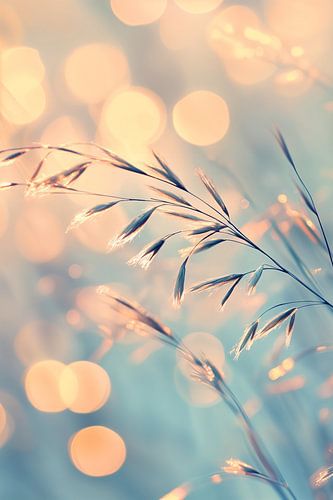 Grashalm in Goudkleurig licht iii