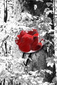 Bollenhut am Baum ART 1.0 SW
