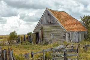 Vieille grange en bois à Texel