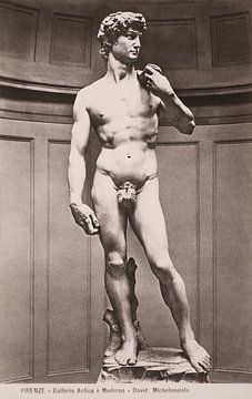 The Power of Perfection - Photography of Michelangelo's "David" by Atelier Kinst