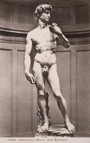 Le pouvoir de la perfection - Photographie de Michel-Ange "David&quot ;
