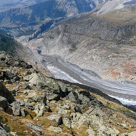 Le glacier d'Aletsch sur Paul van Baardwijk