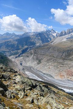 The Aletsch Glacier by Paul van Baardwijk