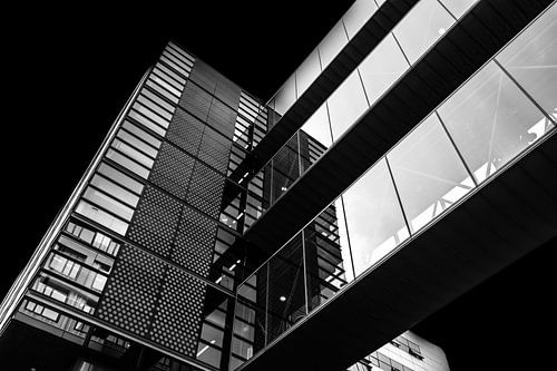 FineArt in zwart-wit, Amsterdam