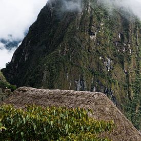 Peru - Detail am Machu Picchu von Eline Willekens