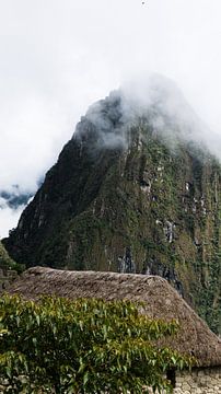 Peru - Detail op de Machu Picchu van Eline Willekens