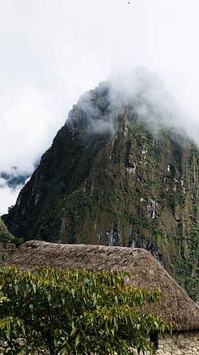 Peru - Detail op de Machu Picchu