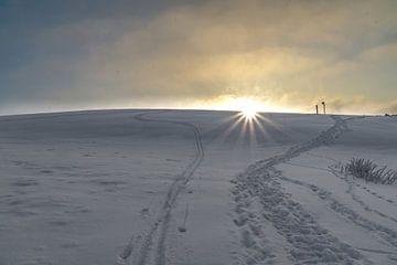 Besneeuwde heuvel van Tom Voelz