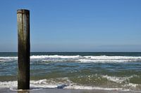Paal van het palendorp in Petten