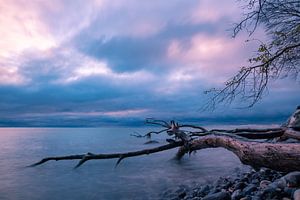 Ostseeküste auf der Insel Moen in Dänemark.