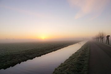 Zwanen in de mist van Dirk van Egmond