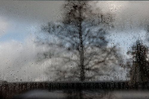 regen, regen regen