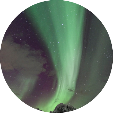 Noorderlicht, Aurora Borealis boven de Lofoten in Noorwegen