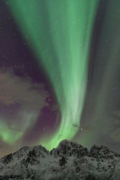 Noorderlicht, Aurora Borealis boven de Lofoten in Noorwegen van Sjoerd van der Wal