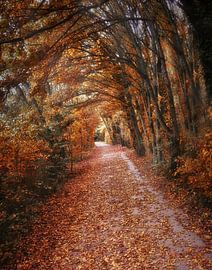 Autumn in The Gavers 3 by Maickel Dedeken