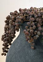 Juniper on jar