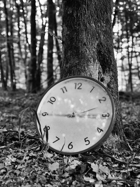 Clock in the Forest 1 by Jörg Hausmann