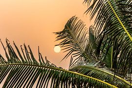 Zonsondergang in Ghana von Leo Hoogendijk