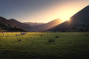 Le fossé de Dunloe
